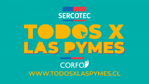 Pymes microempresas